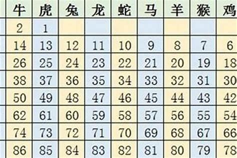 2023生肖歲數|2023年十二生肖号码表完整版 属相岁数年龄查询对照。